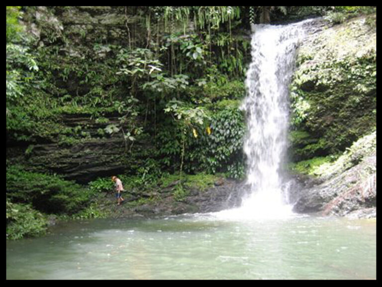 airterjunpalaheader