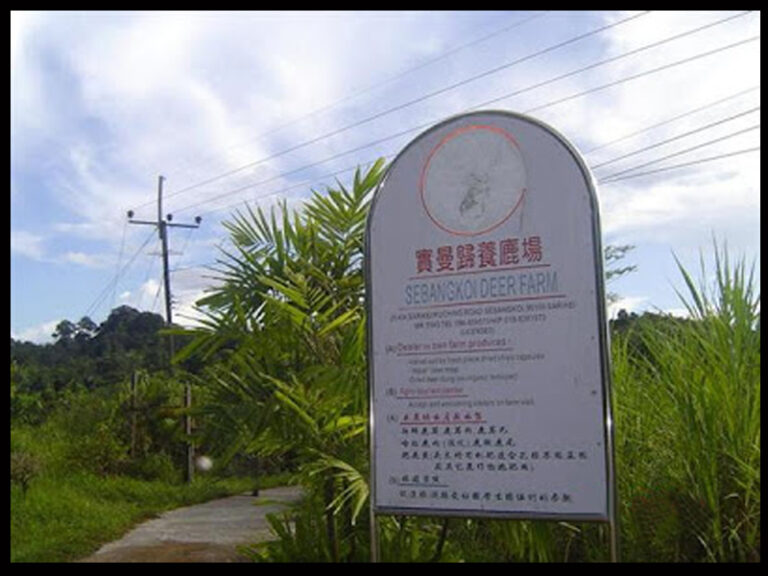 deerfarmheader