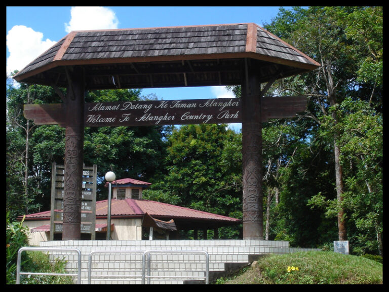 sebangkoihead